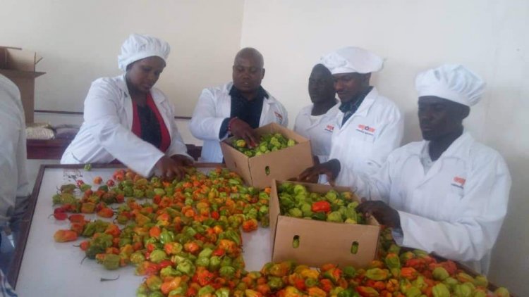 Empower East Africa  embarks on supporting fruits and vegetables farmers  to boost exports.