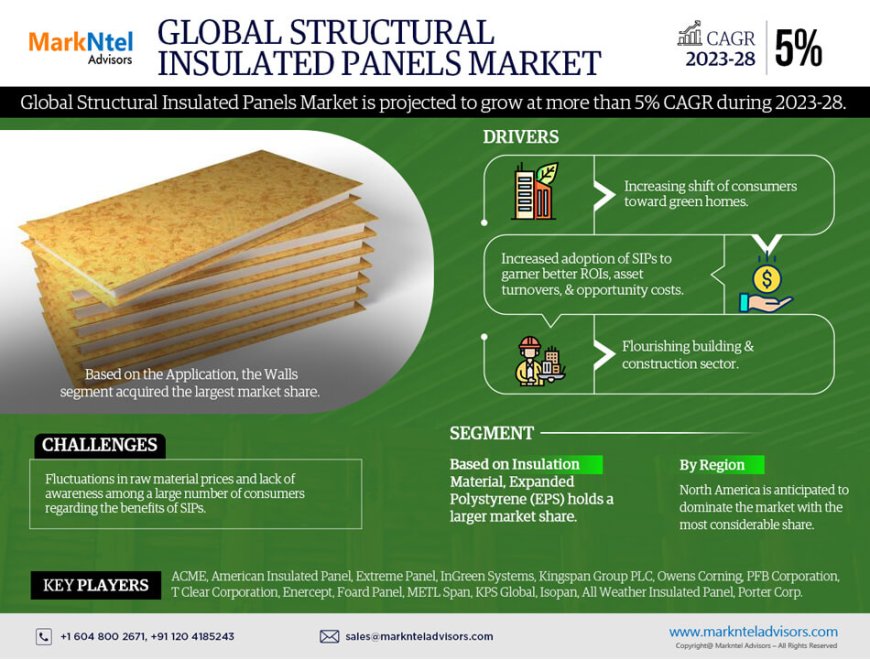 A Clear View Ahead: Projecting Growth and Analyzing the Structural Insulated Panels Market