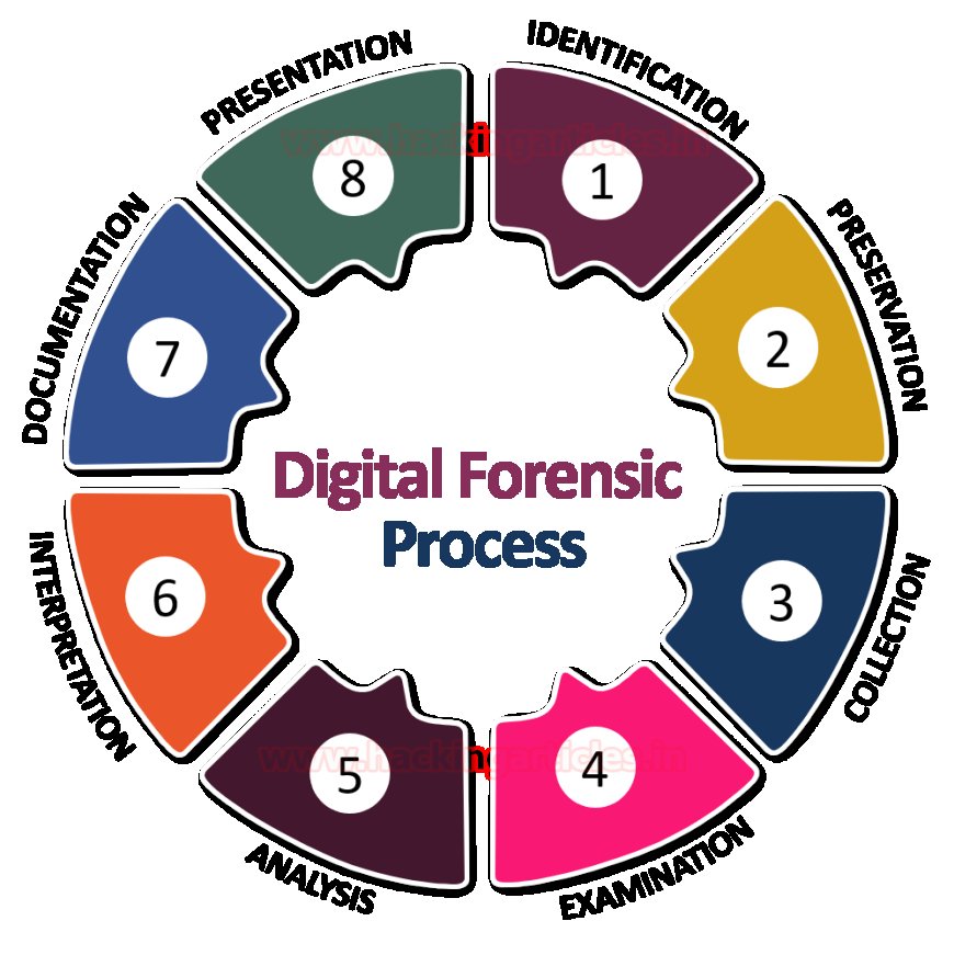 Digital Forensics Market find out Growth Potential through Demand Forecast 2032