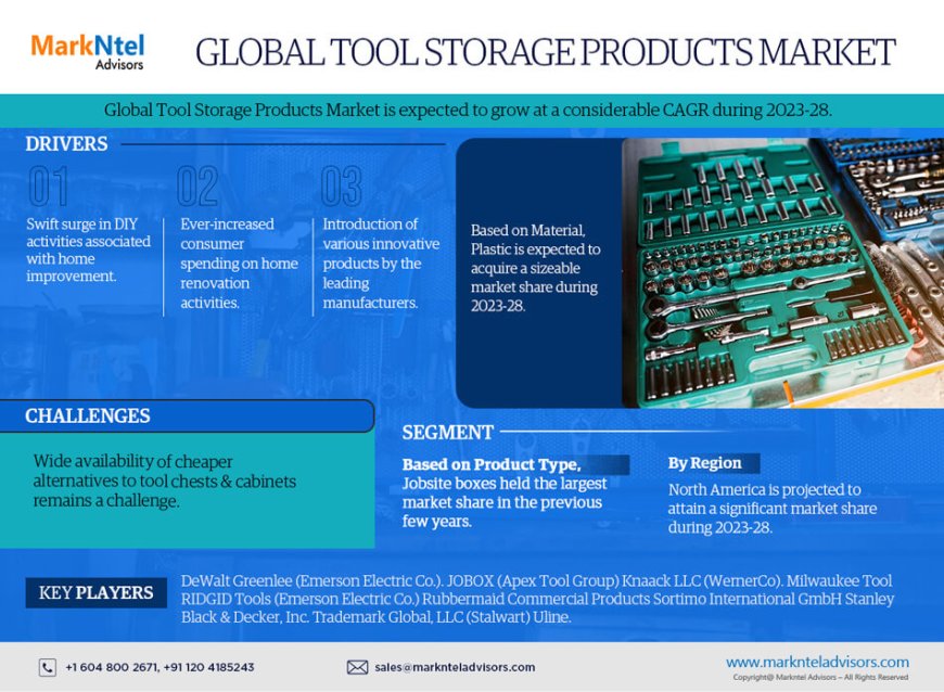 A Clear View Ahead: Projecting Growth and Analyzing the Tool Storage Products Market