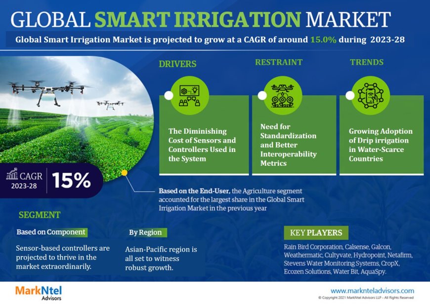 A Clear View Ahead: Projecting Growth and Analyzing the Smart Irrigation Market