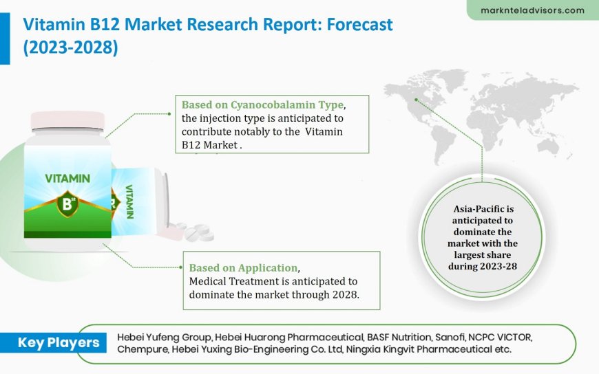 A Clear View Ahead: Projecting Growth and Analyzing the Vitamin B12 Market