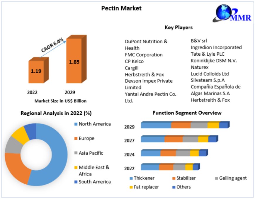 Pectin Market Segments by Region, Growth, Sales and Revenues of Manufacturers Forecast till 2029