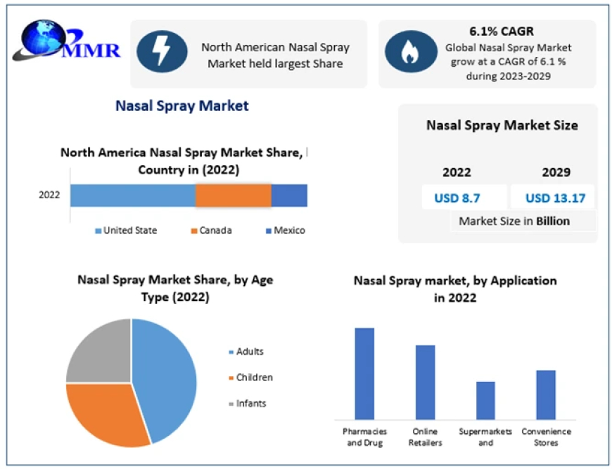 Nasal Spray Market Insights | Industry Outlook, Size, Growth Factors and Forecast To 2029
