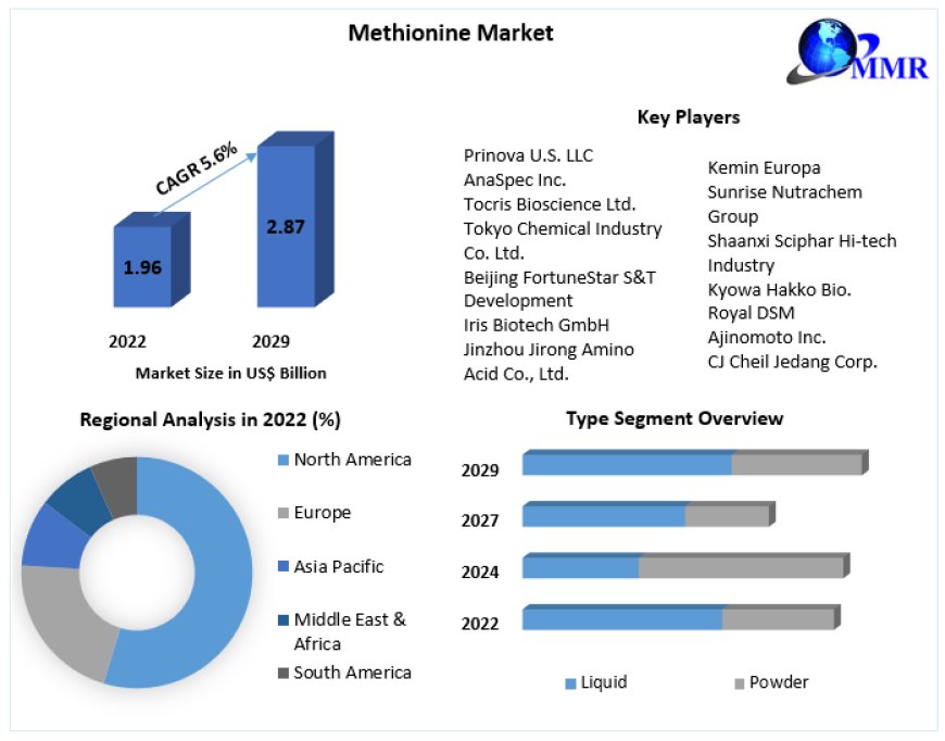 Methionine Market Industry Trends and Investigation Growth Rate, Consumption By Regional Data and Growth Opportunities 2029
