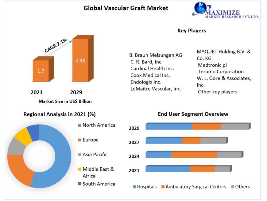 Vascular Grafts - Global Market Projections, Production Capacity and Competitor Analysis 2022-2029