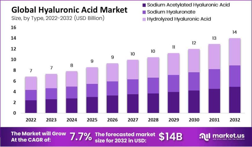 "Youthful Skin Awaits with Hyaluronic Acid Market Leaders"