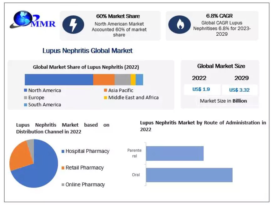 Lupus Nephritis Market Potential Effect on Upcoming Future Growth, Competitive Analysis and Forecast 2029