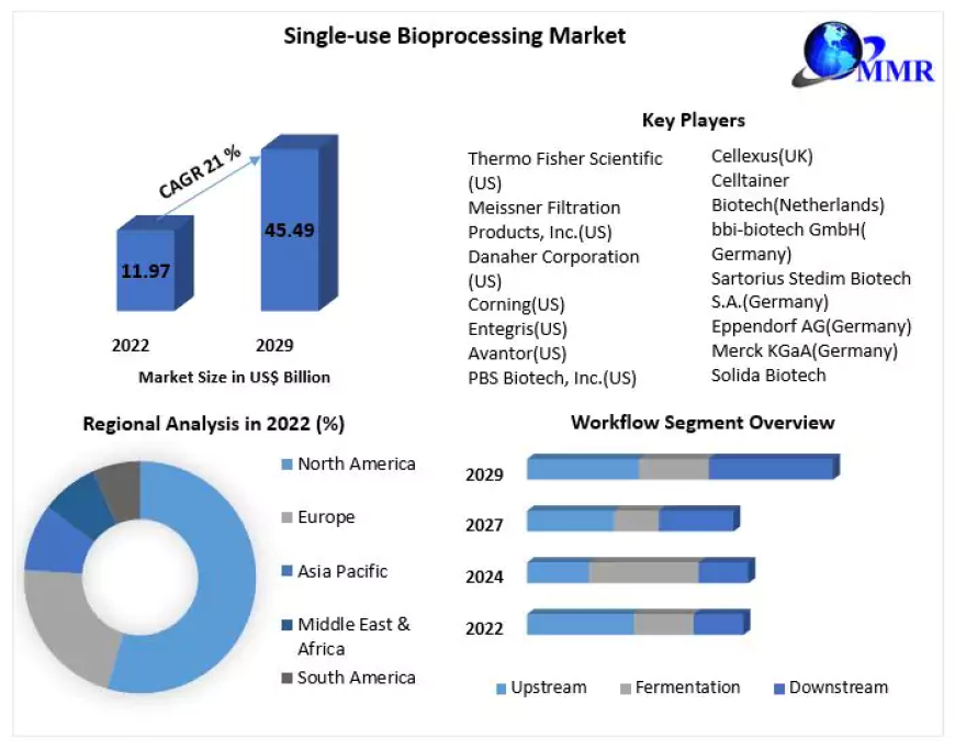 Single-use Bioprocessing Market Business Developing Strategies, Growth Key Factors