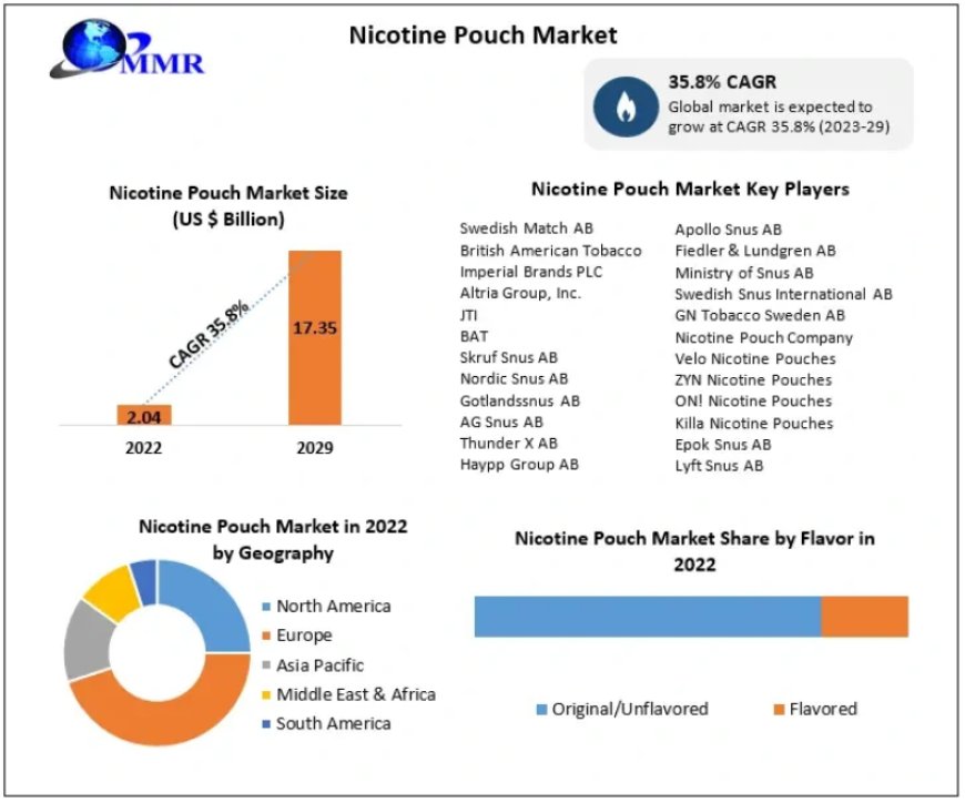 Nicotine Pouch Market Top Players, Emerging Demand, Business Profit Analysis, Sales Revenue and Expansion Strategies by 2029