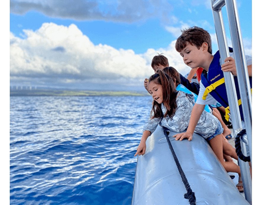 Diving into Hawaii Whale-Watching Tours