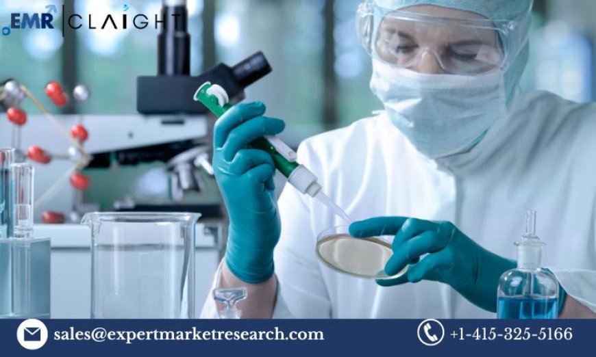 North America Laboratory Informatics Market Size, Share, Growth, Analysis, Report and Forecast 2024-2032