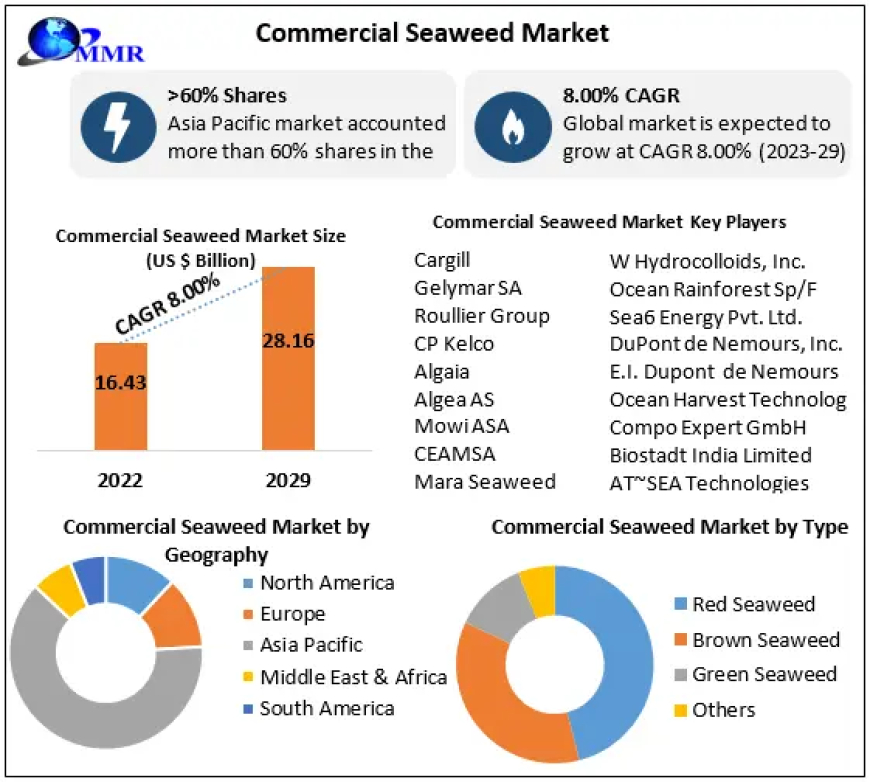 Commercial Seaweed Market Competitive Landscape & Strategy Framework To 2029.