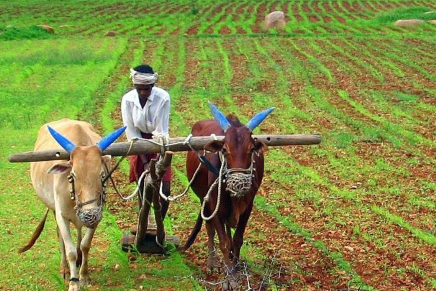 Agriculture Industry in India Size, Share, Latest Trends, Opportunity and Forecast 2023-2028