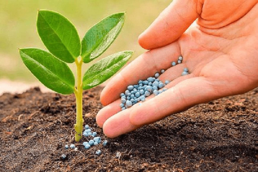 Vietnam Specialty Fertilizer Market Share, Size, Latest Trends, In-Depth Analysis and Forecast 2024-2032