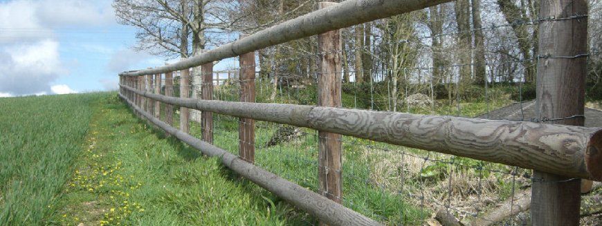 Fencing in Dorset: Styles, Benefits, and Local Resources