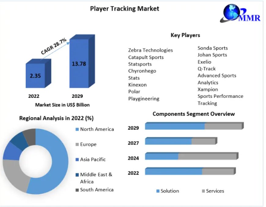 Global Player Tracking Market Growth, Overview with Detailed Analysis -2029