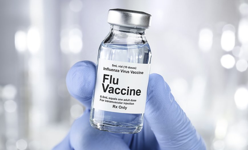 Influenza Vaccine Market Trends, Industry Overview, Top Companies, Analysis and Forecast to 2028