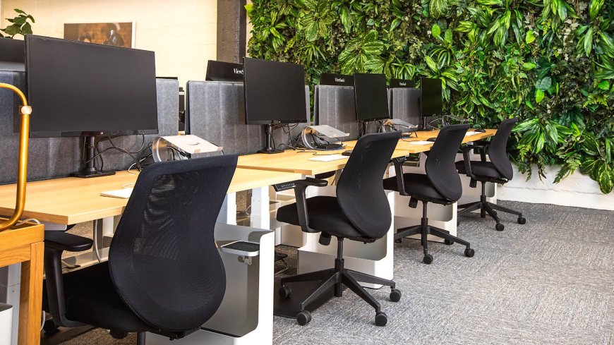 The Importance Of Biophilic Design In a Modern Workspace