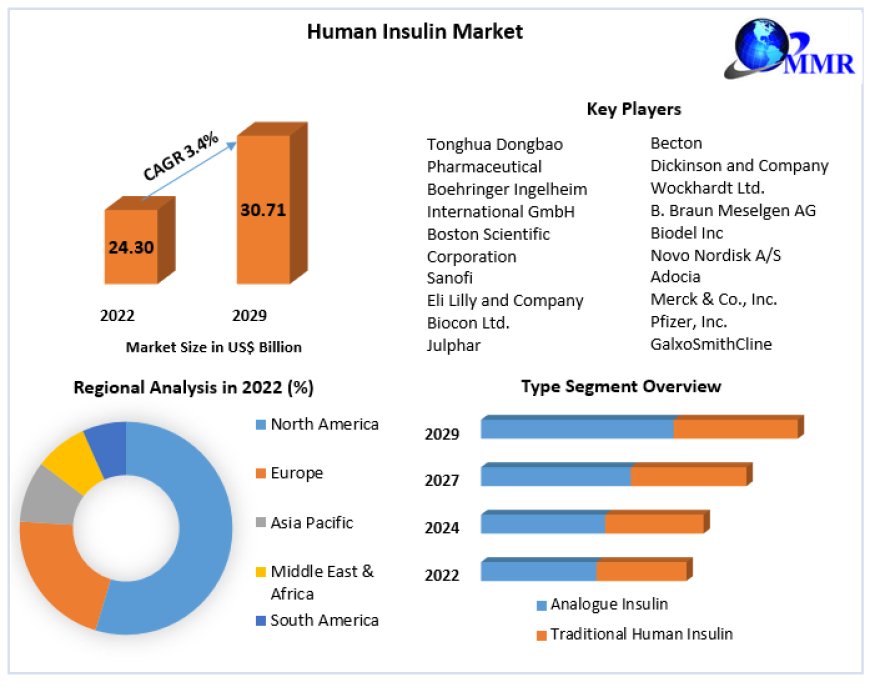 global Human Insulin Market  Growth by Top Company, Product Price, Profit, and Future 2030