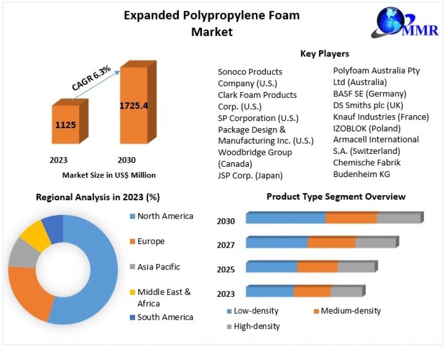 Expanded Polypropylene Foam Market by Manufacturers, Product Types, Cost Structure Analysis, Leading Countries, Companies to 2030