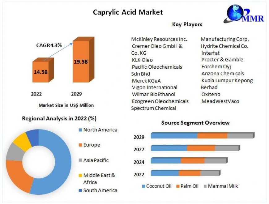 Caprylic Acid Market Industry share, Regional Analysis and Forecast 2030