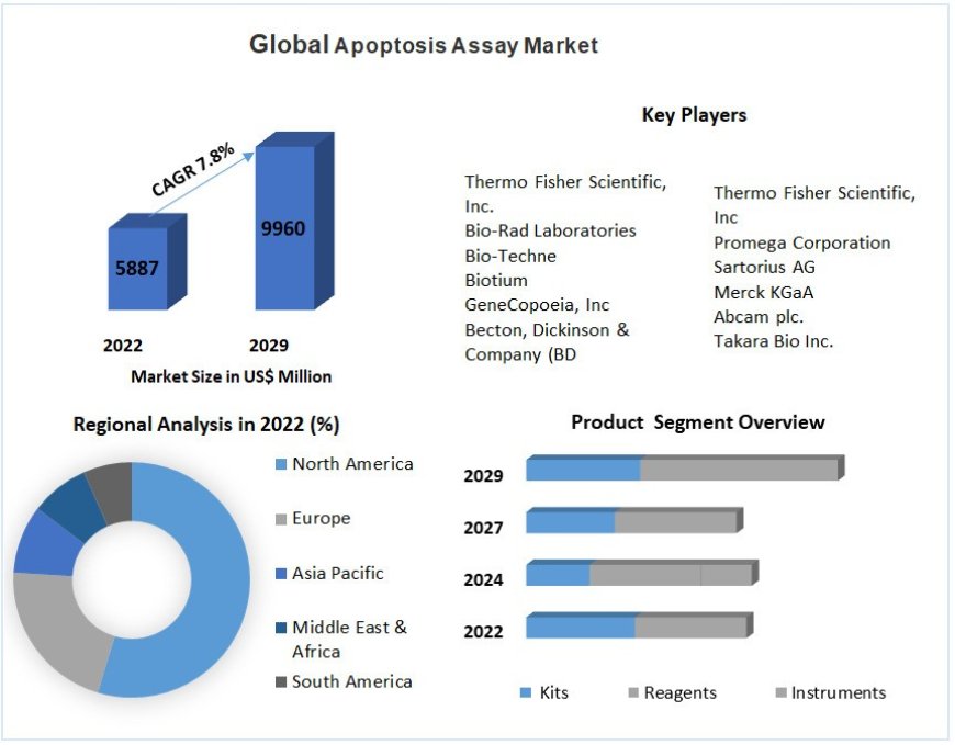 Apoptosis Assay Market Top Manufacturers, Sales Revenue, Trends, Size, Top Leaders, Future Scope and Outlook 2029