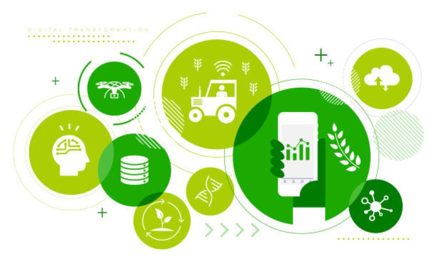 Agriculture Analytics Market Type, Dynamics, and Industry Analysis by 2030