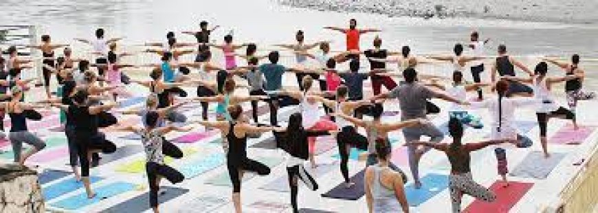 7 Key Steps to Master Hatha Yoga Teacher Training
