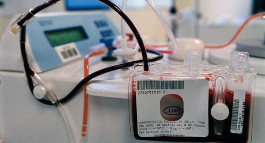 Blood Processing Devices and Consumables Market Share, Trends, Analysis and Forecast 2024-2032
