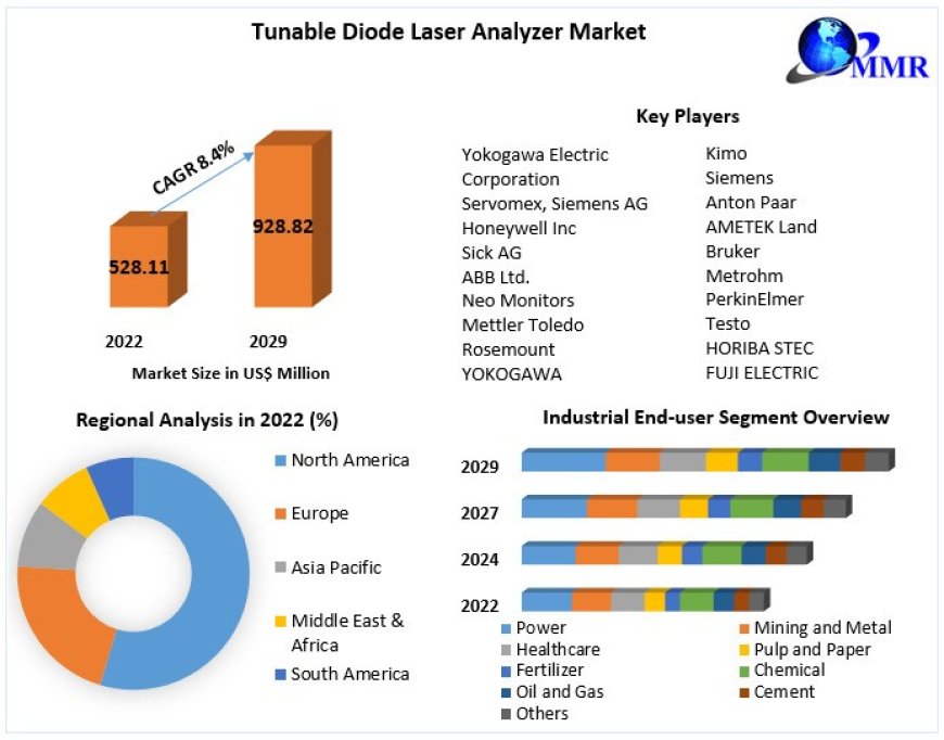 Tunable Diode Laser Analyzer Market Share Leaders, Sales Consumption and Forecast  2029