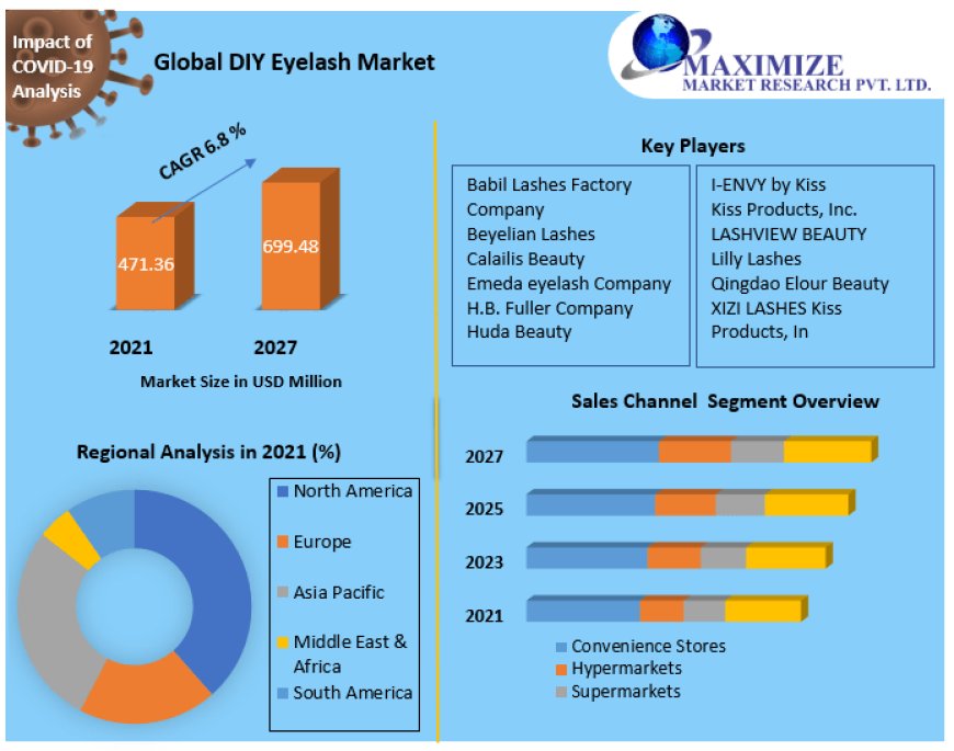 DIY Eyelash Market Size, Segmentation, Analysis And Growth