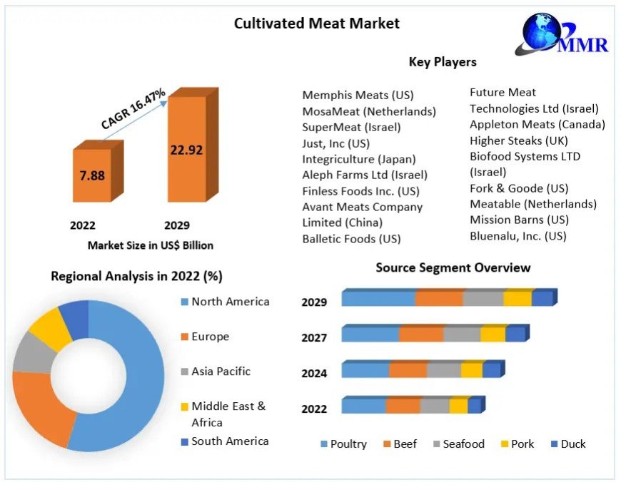 Cultivated Meat Market Share, Impressive Industry Growth, Industry demand Report And Forecast 2029