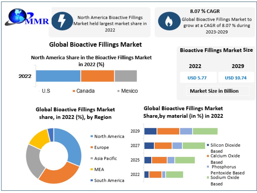 Global Bioactive Fillings Market Industry Outlook, Growth Factors, and Forecast 2030