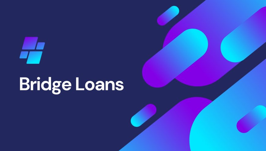 Discovering the Broad Array of Financial Options Offered by Bridge Loans