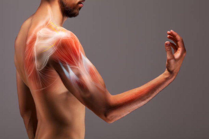 Practical Techniques for Natural Muscle Healing