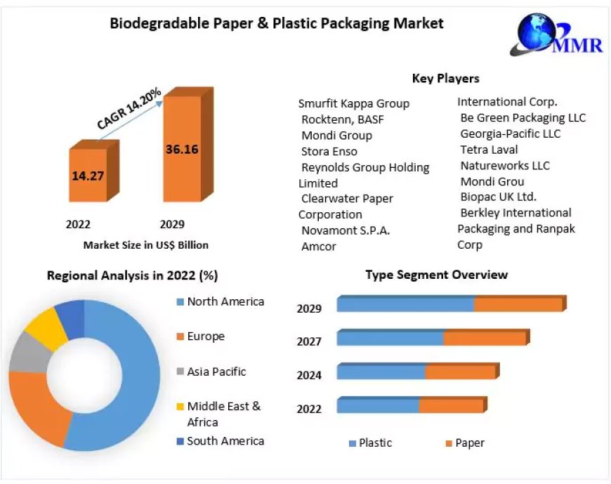 Biodegradable Paper & Plastic Packaging Market Size Growth Rate by Type, Application, Sales Estimates 2029
