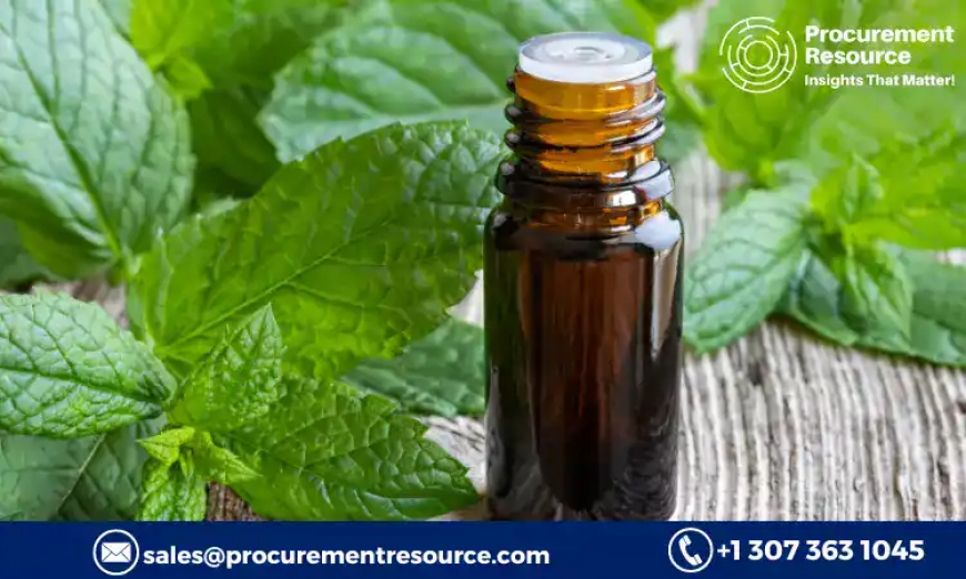 Comprehensive Analysis of Peppermint Oil Price Trends: Insights, Predictions, and Industry News