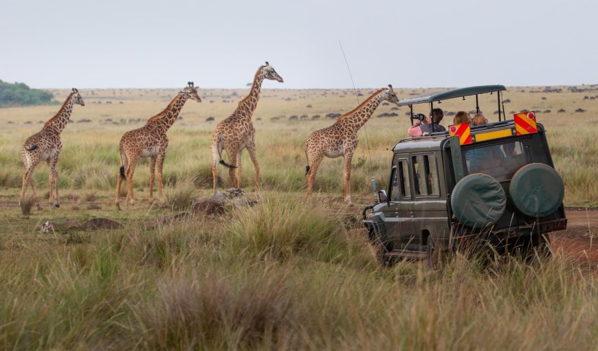 Top 10 National Parks in Kenya