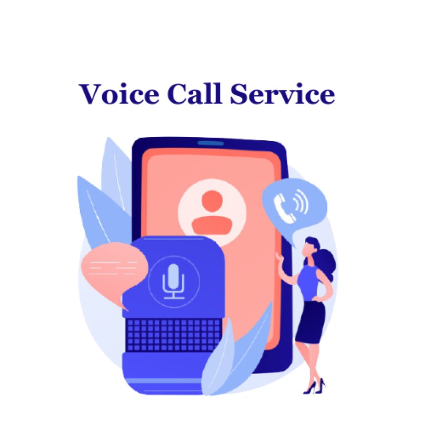 Art of Voice Call Campaigns: A Guide to Successful Promotions