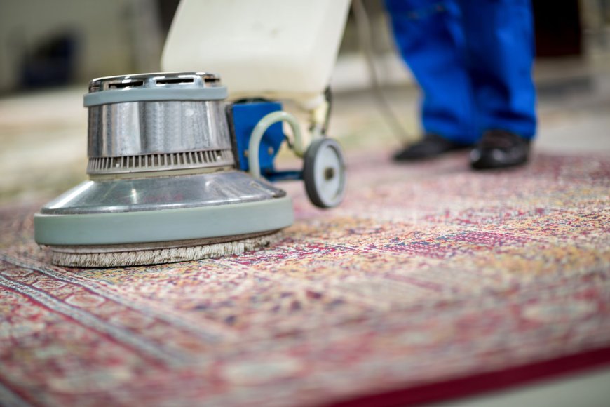 Uncover the Power of Professional Carpet Cleaning Techniques