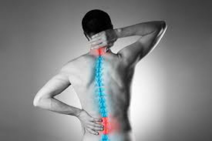 Understanding Lower Back Pain: A Comprehensive Guide