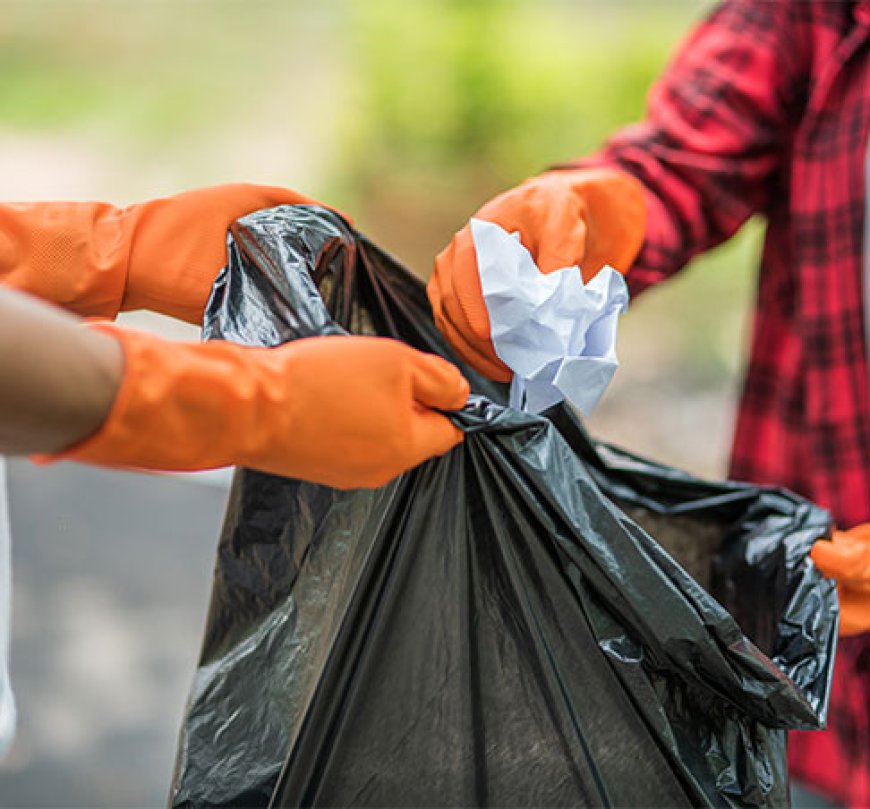  What Types Of Waste Can Trash Removal Services Handle?