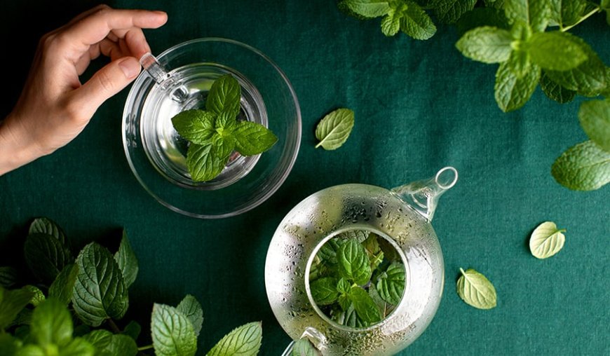 The Refreshing Elixir: Exploring the Health Benefits and Culinary Delights of Spearmint Tea