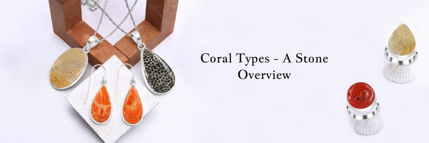 Types of Coral Stone - A Complete Guide