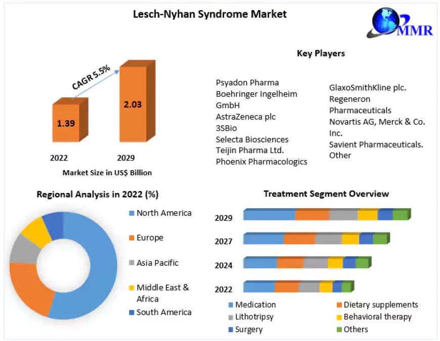 Lesch-Nyhan Syndrome Market Key Players, Trends, Share, Industry Size, Growth, Opportunities, And Forecast To 2029