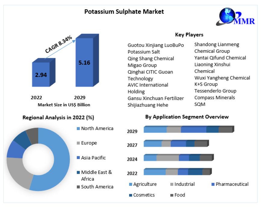 Global Potassium Sulphate Market Revenue | Top Players Financial Performance | Trend Analysis 2030