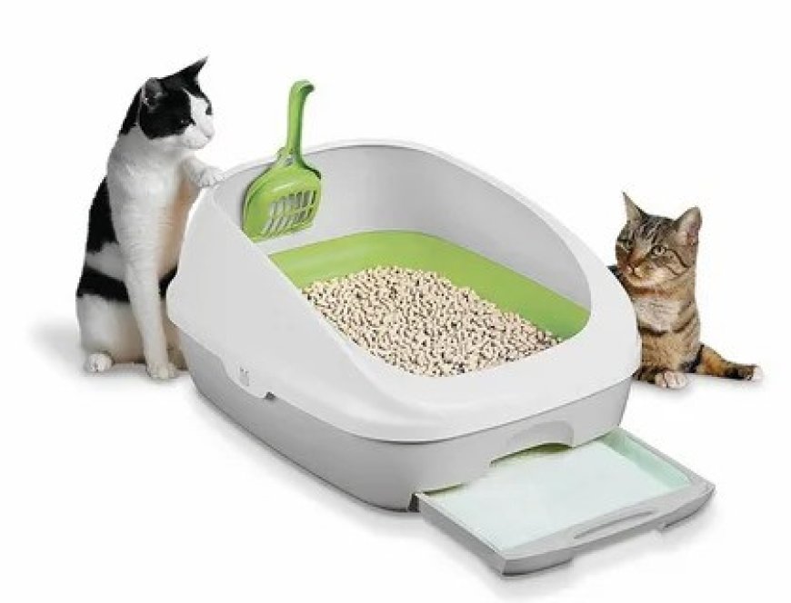 Cat Litter Box Market Sales are Forecasted to Increase at 4.8% CAGR through 2034