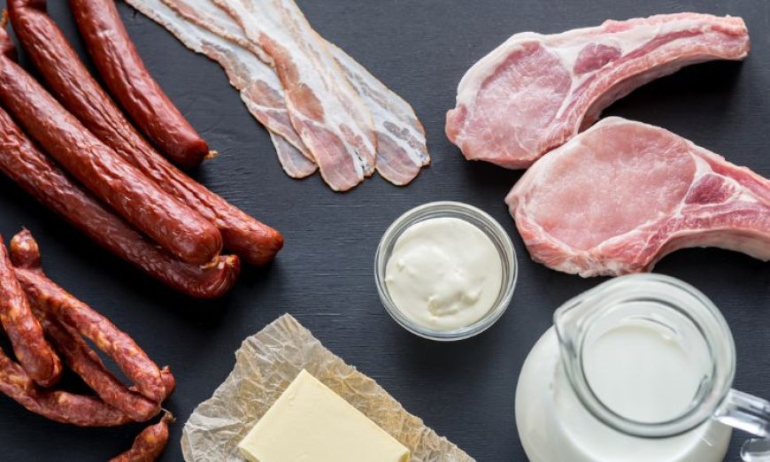 Global Animal Fat Market: Comprehensive Analysis and Forecast (2024-2032)