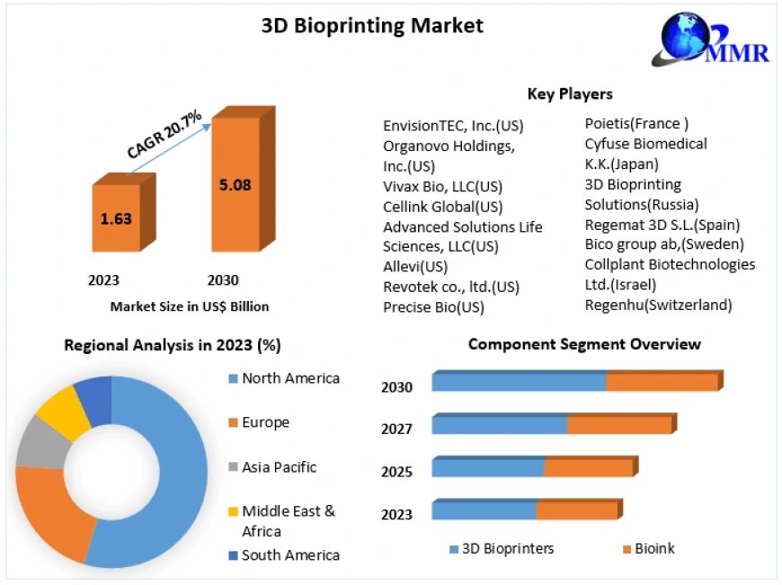 3D Bioprinting Market Mapping the Future: Trends, Size, and Innovation in 2024-2030